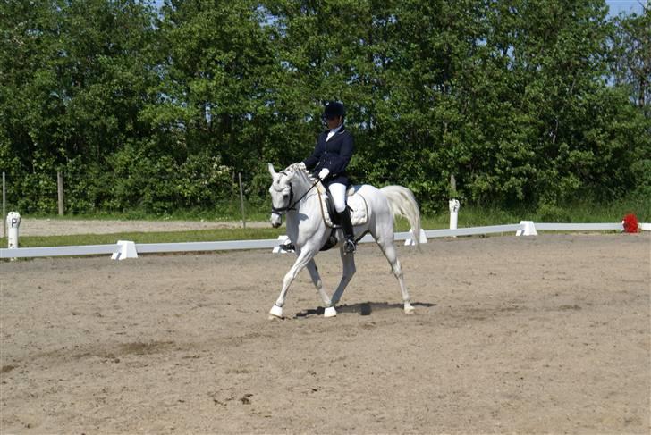 Stævne på Fredemarksgård billede 3