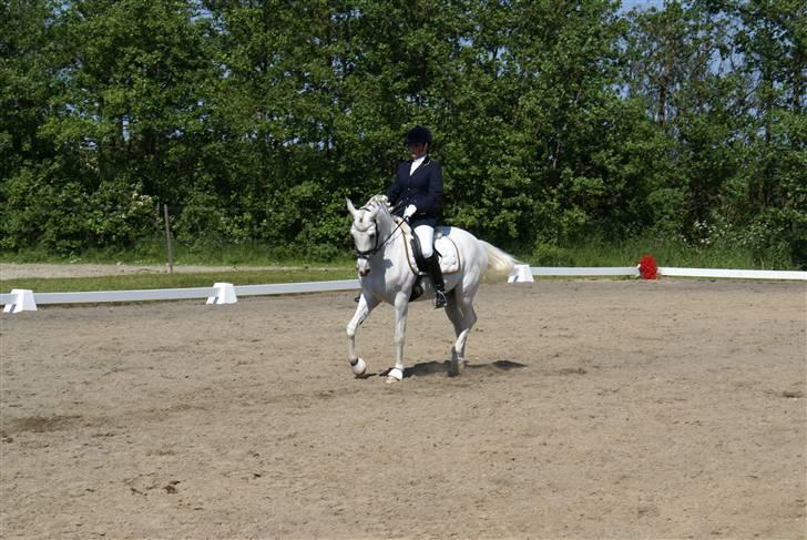 Stævne på Fredemarksgård billede 4