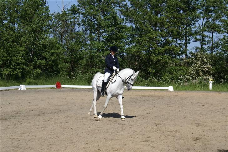 Stævne på Fredemarksgård billede 5