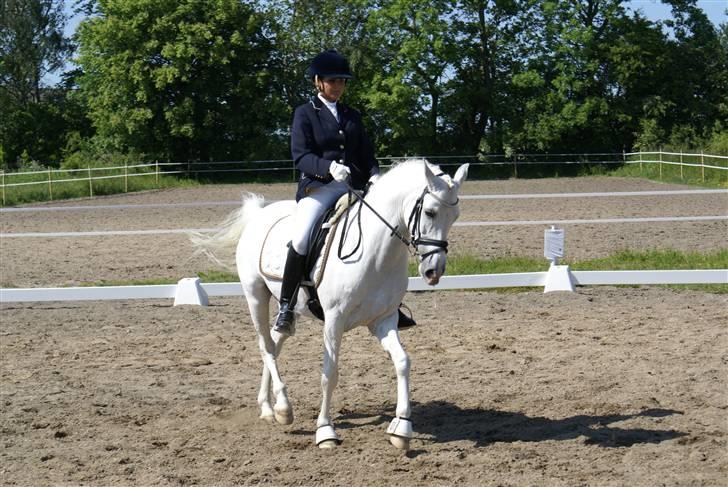 Stævne på Fredemarksgård billede 6