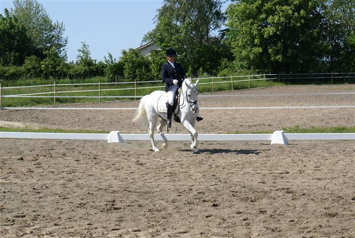 Stævne på Fredemarksgård billede 7
