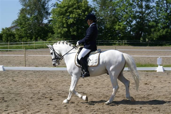 Stævne på Fredemarksgård billede 8