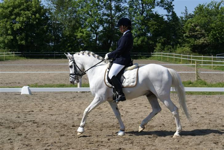 Stævne på Fredemarksgård billede 9