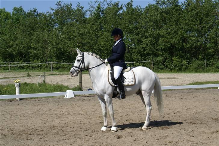 Stævne på Fredemarksgård billede 10