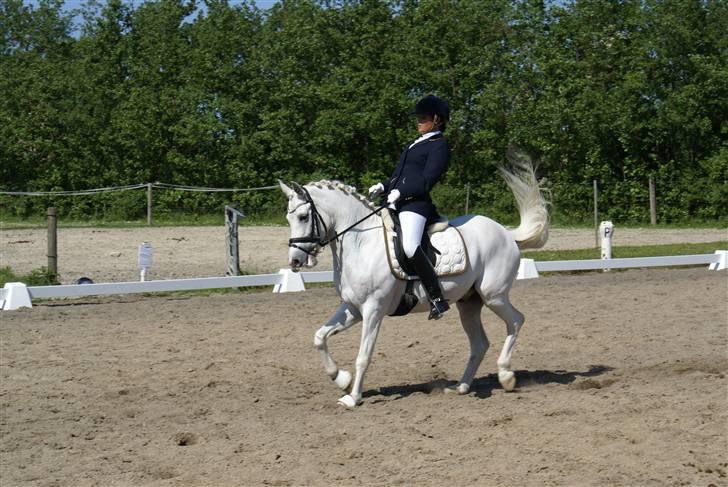 Stævne på Fredemarksgård billede 11