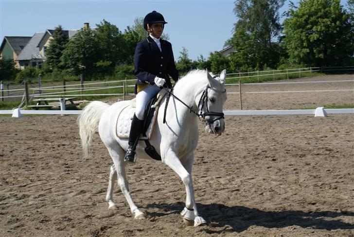 Stævne på Fredemarksgård billede 12
