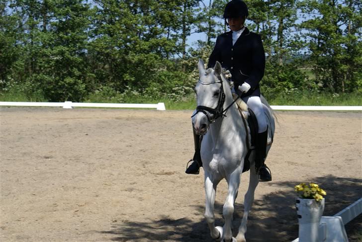 Stævne på Fredemarksgård billede 13