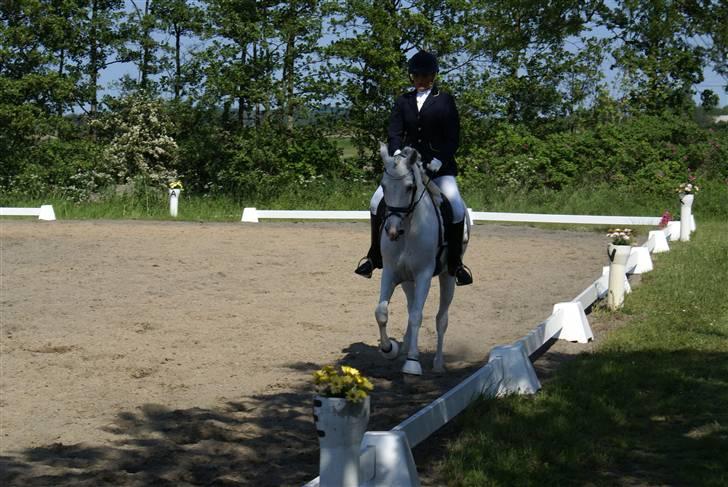 Stævne på Fredemarksgård billede 14