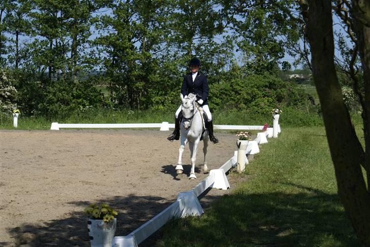Stævne på Fredemarksgård billede 15