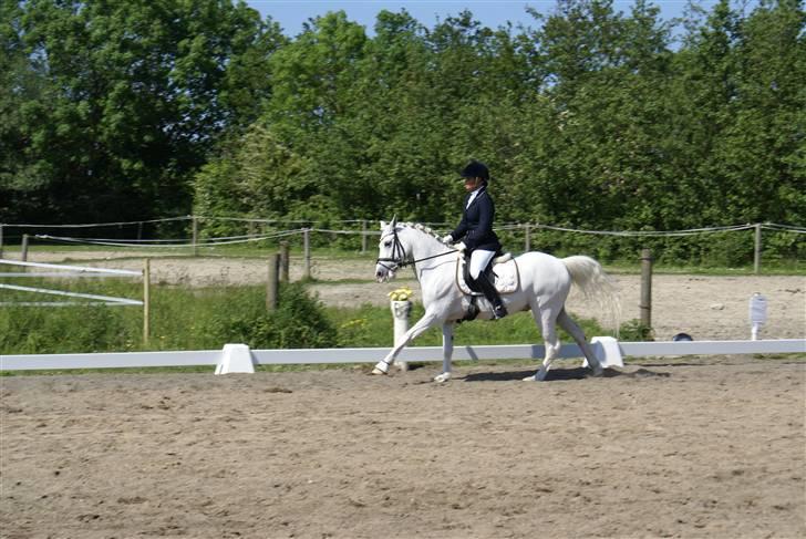 Stævne på Fredemarksgård billede 16