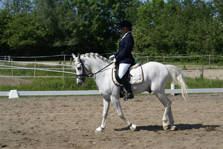 Stævne på Fredemarksgård billede 17