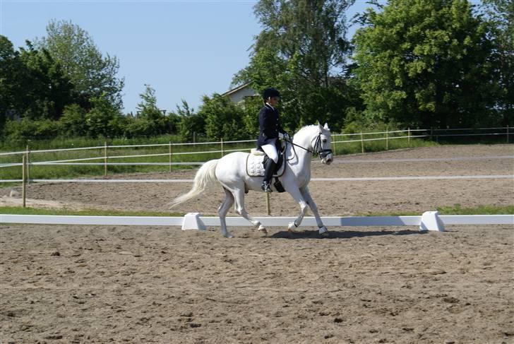 Stævne på Fredemarksgård billede 18