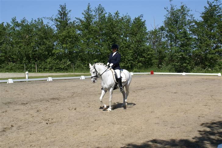 Stævne på Fredemarksgård billede 19
