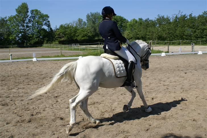 Stævne på Fredemarksgård billede 20