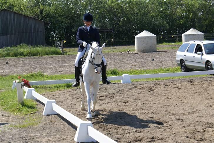 Stævne på Fredemarksgård billede 21