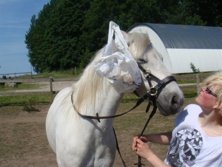 {{currentPhoto.altText}} billede {{currentPhoto.number}}