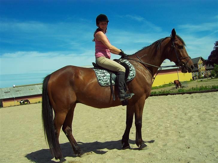 Sommerbilleder af Doggi billede 2