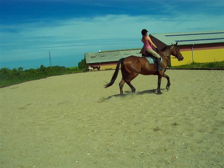 Sommerbilleder af Doggi billede 4