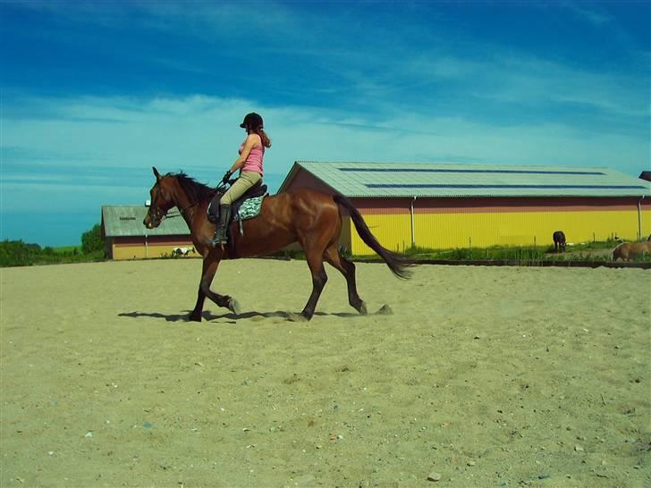 Sommerbilleder af Doggi billede 5