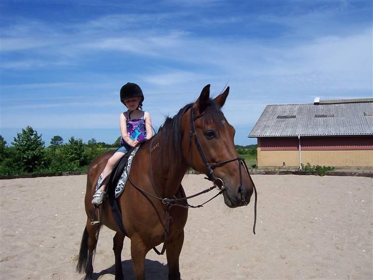 Sommerbilleder af Doggi - Lille pige-stor hest billede 7