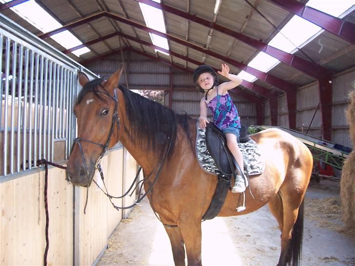 Sommerbilleder af Doggi billede 8