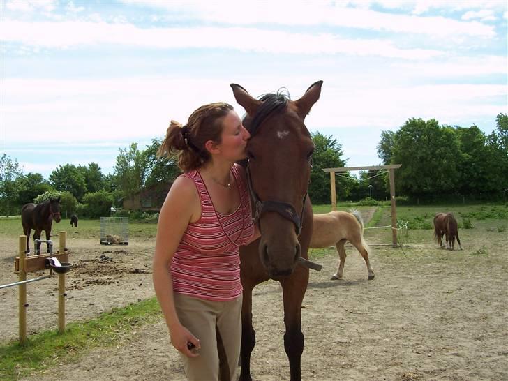 Sommerbilleder af Doggi billede 10
