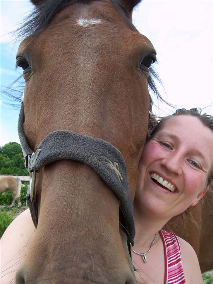 Sommerbilleder af Doggi - Billede taget af mig, det var lidt svært. billede 14