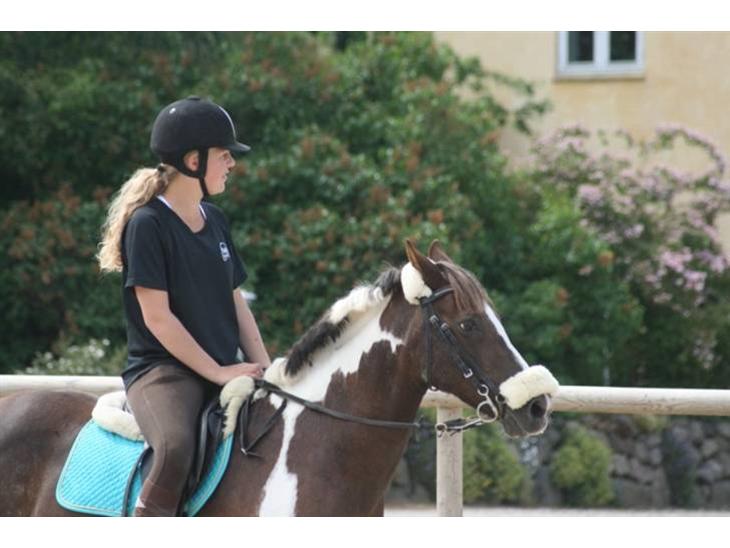 {{currentPhoto.altText}} billede {{currentPhoto.number}}