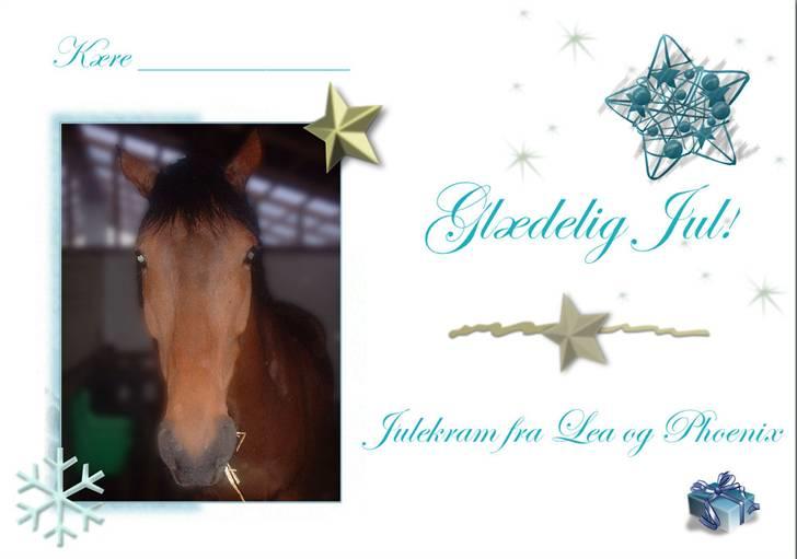 Billedredigering (har leget lidt...) - Endnu et julekort men billedet er redigeret sådan at baggrunden er sløret og selve hesten er blevet mere skarp billede 20