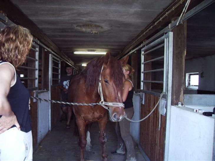 {{currentPhoto.altText}} billede {{currentPhoto.number}}