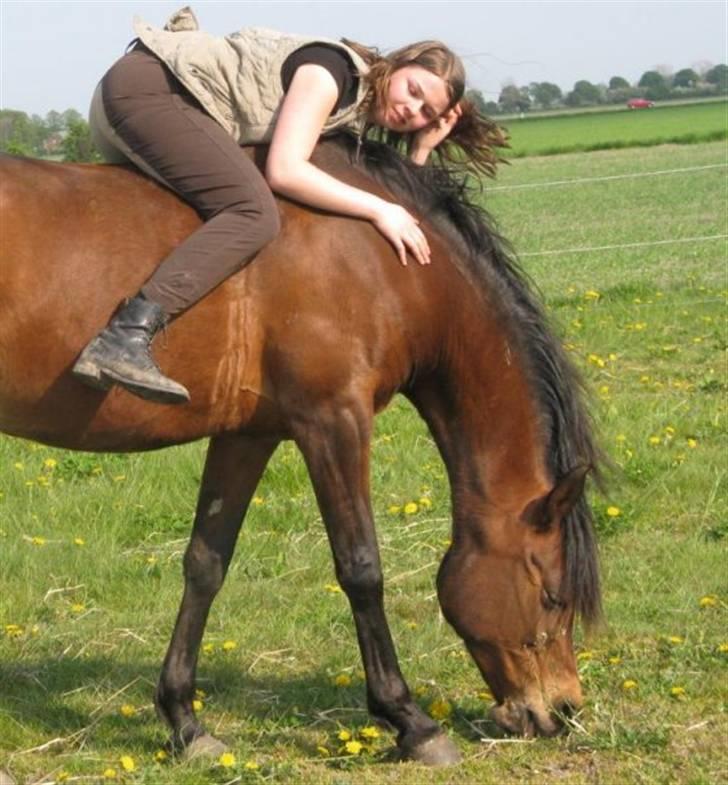 Gazelle og jeg - Hygge efter dressurtræning :) billede 1