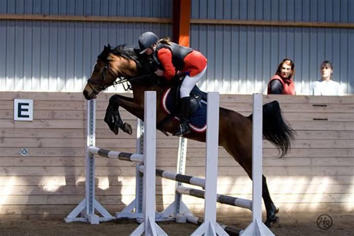 Gazelle og jeg - LA (100 cm) i MARK (Maribo rideklub)
1 plads. 2008 billede 3