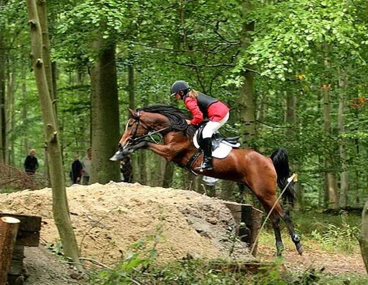 Gazelle og jeg - Jagt på Engestofte Gods 2008 billede 5