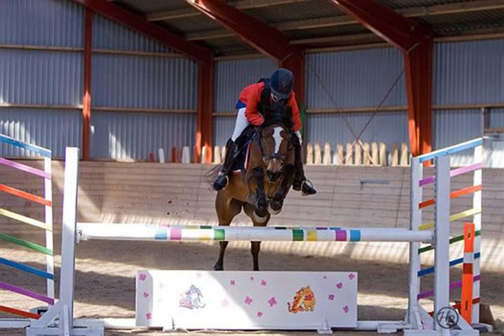 Gazelle og jeg - LA (100 cm) i MARK (Maribo rideklub)
1 plads. 2008 billede 6