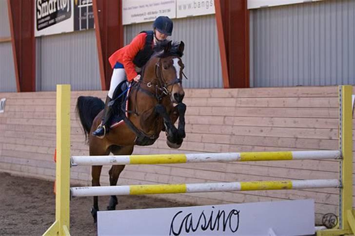 Gazelle og jeg - LA (100 cm) i MARK (Maribo rideklub)
1 plads. 2008 billede 7