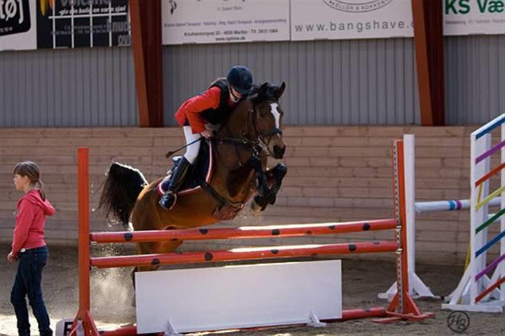 Gazelle og jeg - LA (100 cm) i MARK (Maribo rideklub)
1 plads. 2008 billede 8