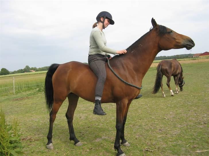 Gazelle og jeg - Der skal også være tid til at nusse ;D billede 9