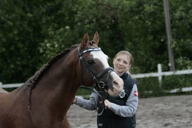 Fotosession - Jappeloup billede 21