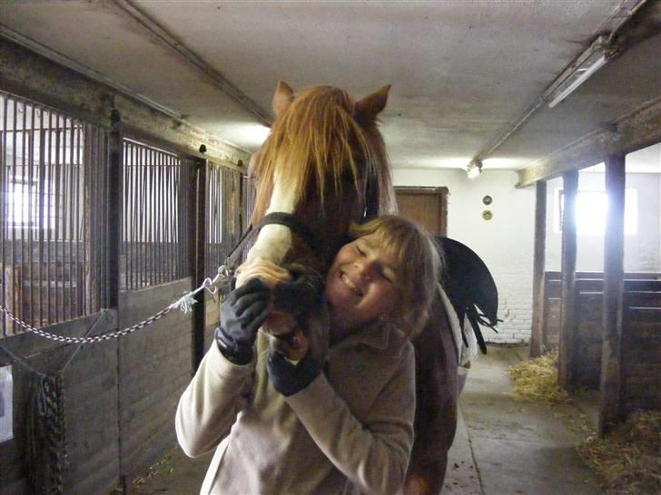 Mine meget underlige billeder, når min hest sover xD Foldbilleder af Moonie  billede 3