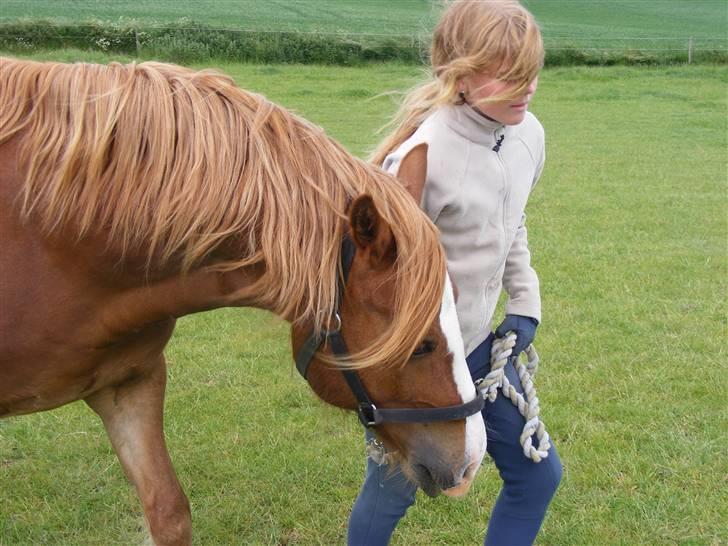 Mine meget underlige billeder, når min hest sover xD Foldbilleder af Moonie  billede 31