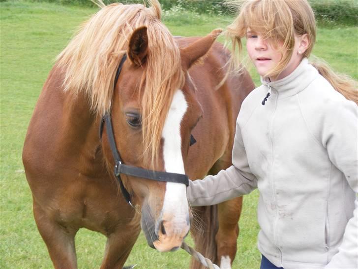 Mine meget underlige billeder, når min hest sover xD Foldbilleder af Moonie  billede 32