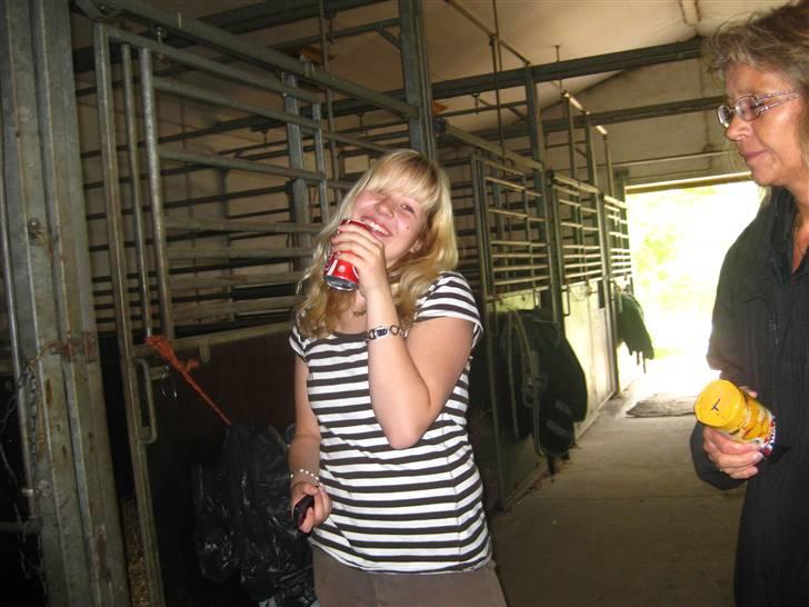 Gris der løsspringes :) billede 15