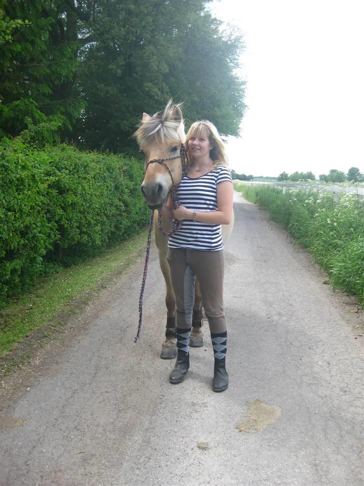 Gris der løsspringes :) billede 19