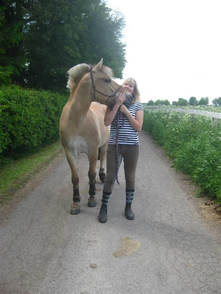 Gris der løsspringes :) billede 20