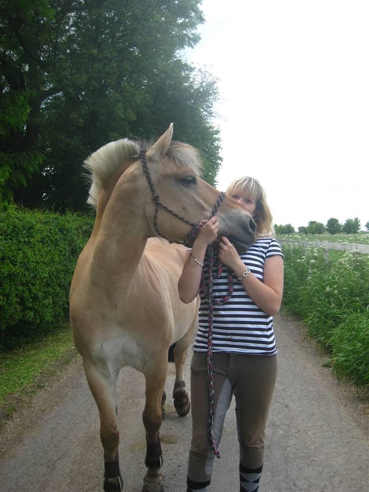 Gris der løsspringes :) billede 21