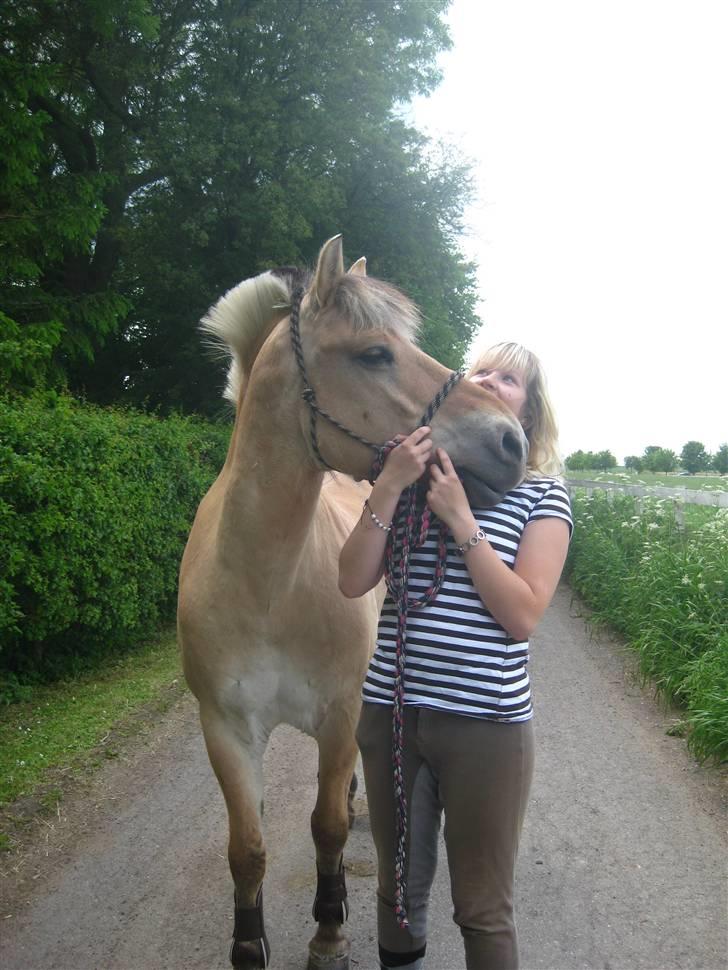 Gris der løsspringes :) billede 22