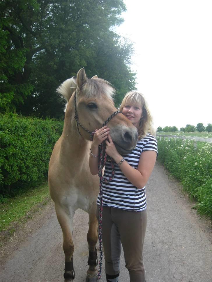 Gris der løsspringes :) billede 23