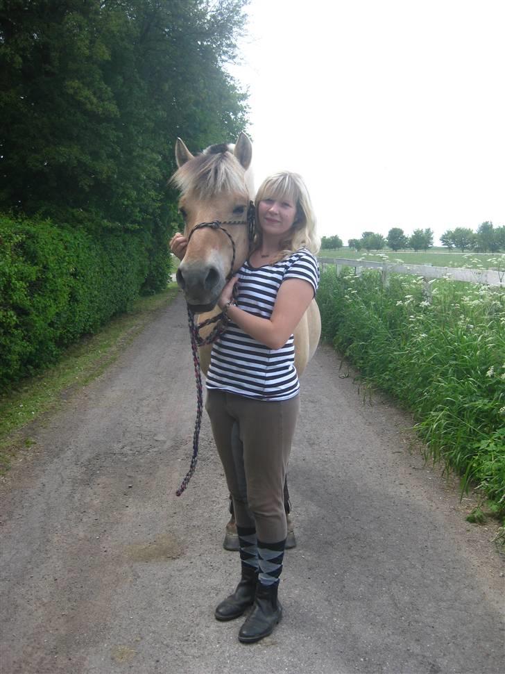 Gris der løsspringes :) billede 24