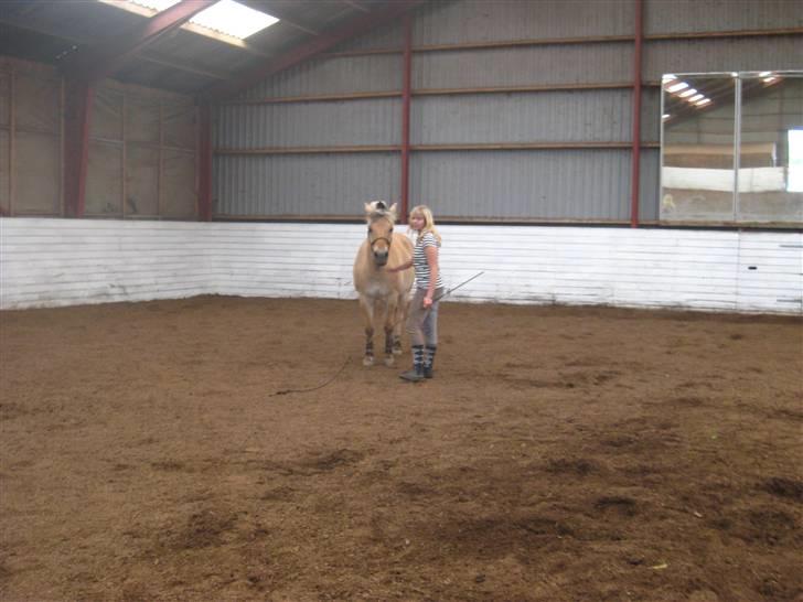 Gris der løsspringes :) billede 33