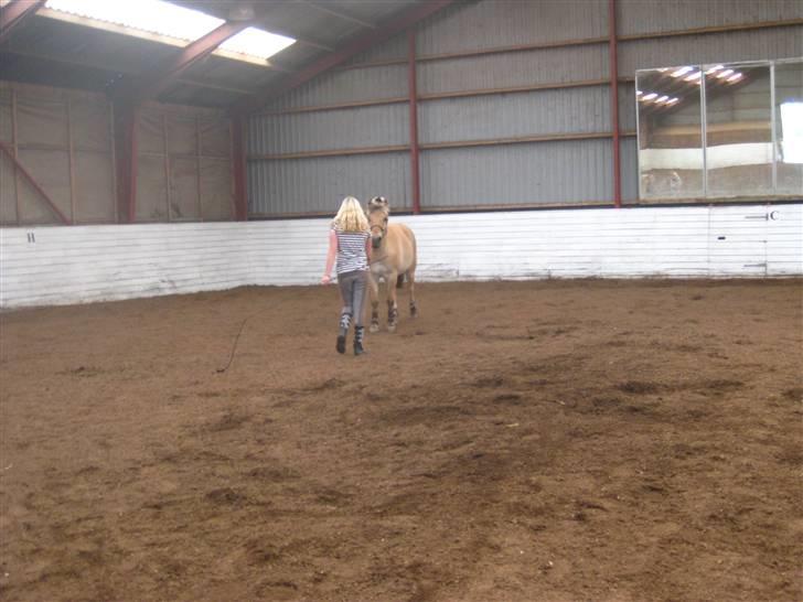 Gris der løsspringes :) billede 34